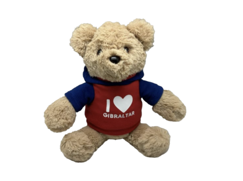 PLUSH TOYS TEDDY BEAR