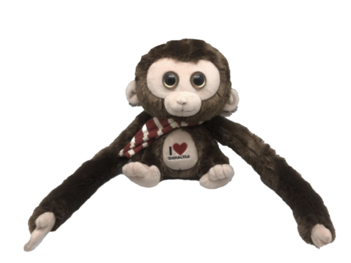 MONKEY WITH SOUND