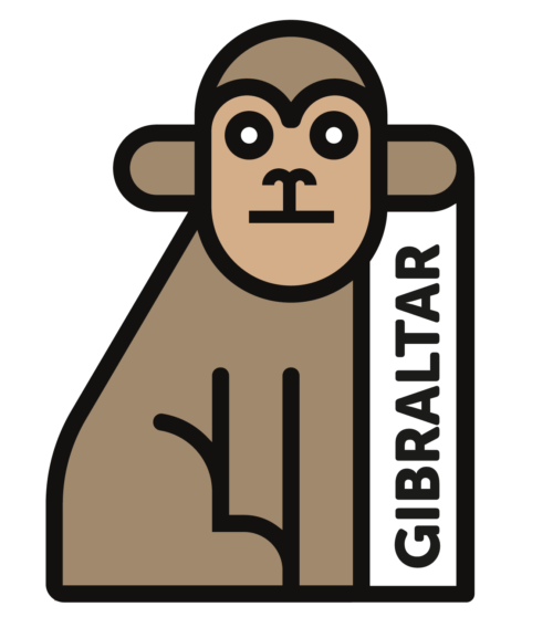 MAGNET METAL MONKEY