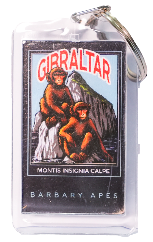 KEYCHAIN PLASTIC 2 MONKEYS