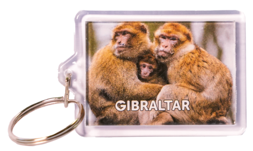 KEYCHAIN PLASTIC FAMILY MONKEY