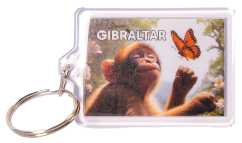KEYCHAIN PLASTIC BUTTERFLY