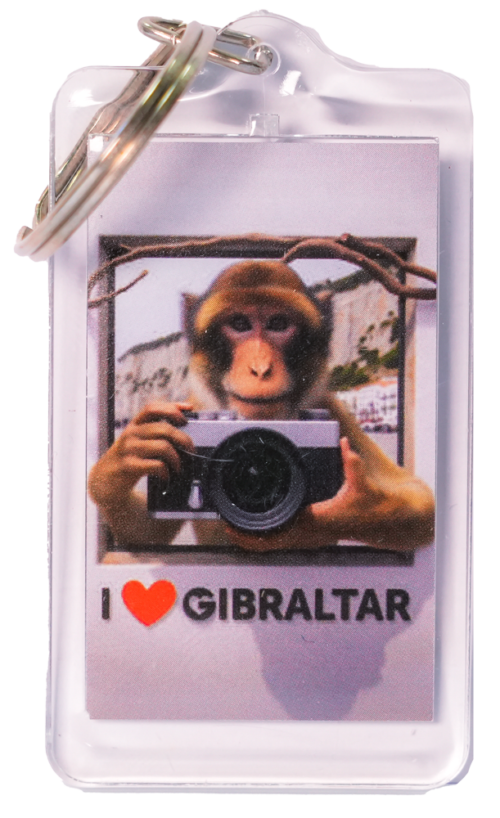 KEYCHAIN PLASTIC MONKEY PHOTO