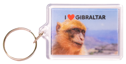 KEYCHAIN PLASTIC MONKEY FACE