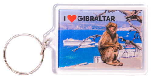 KEYCHAIN PLASTIC MONKEY CRUISER