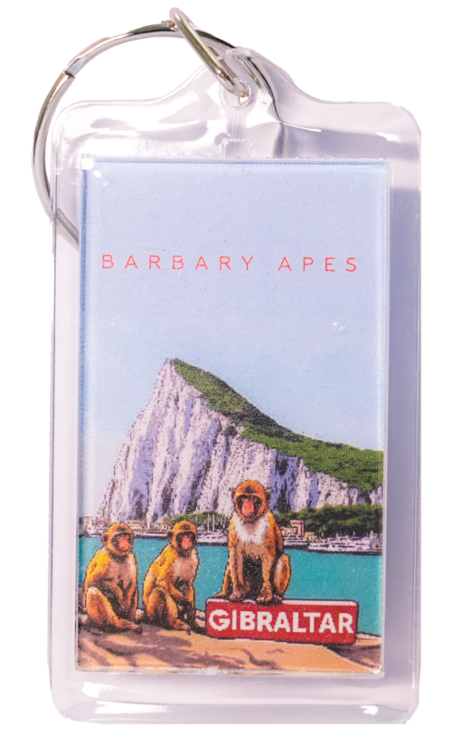 KEYCHAIN PLASTIC 3 MONKEYS