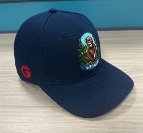 CAP BLUE MONKEY