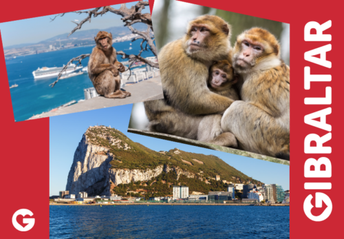 Postcards 2