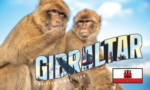 METAL SIGN 2 MONKEY